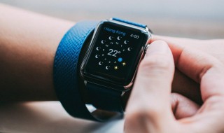 watch4gps和蜂窝区别 为什么两者价格上相差这么多