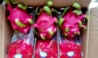 想做水果批发生意新手如何开始 批发水果刚开始怎么做