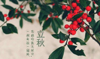 立秋后三不吃指的是什么 你真的知道吗?