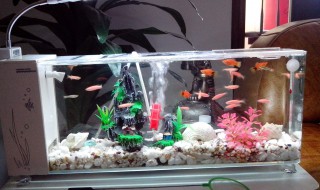 氧气泵放哪里比较好 氧气泵放在哪个地方好