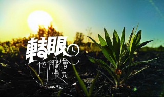 转眼是什么意思 有什么含义