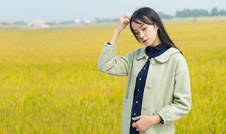 稻田怎么拍人呢 这样拍也太好看了吧