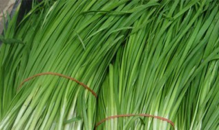 梦见自己卖韭菜是什么意思 小心提防