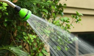 洗衣粉配水浇花有什么作用 洗衣粉掺水浇花