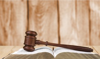 伐树自己掉下来别人有责任吗 谁得承担责任