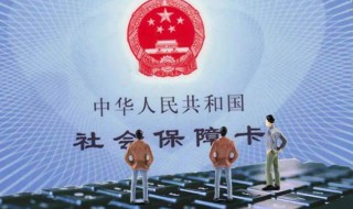 个人要交五险和三险哪个好 一起了解一下