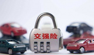 交强险保单副件丢了能检车吗 你了解过吗