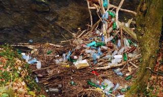 一个塑料瓶会污染环境多少年 一起了解一下