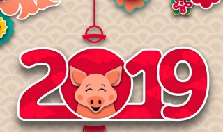 2019年是什么生肖 2019年属相是什么