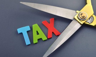 增值税减税备案怎么做 增值税减税备案的流程