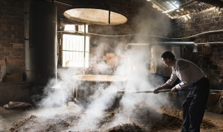 酒糟怎样做肥料 怎么用酒糟做肥料