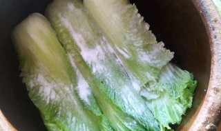 酸莱的腌制方法 比较简单的做法