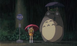 纯黑龙猫的寿命 龙猫的寿命有多长