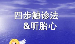 四步触诊法 你学会了吗