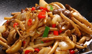 鲜茶树菇的家常做法 是一道值得尝试的菜品