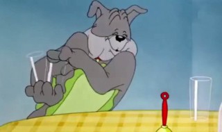 斯派克是什么狗 现在你知道了吗