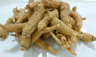 西洋参哪里产的最好 现在你知道了吗