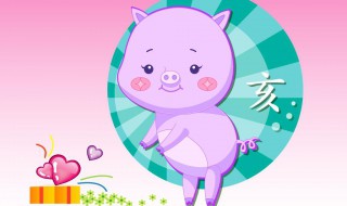 属猪的男孩什么时辰出生好 大家可以了解一下