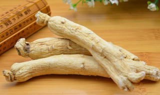 初二学生能吃白参吗 下面为大家解答