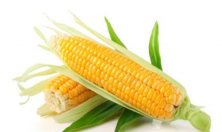 玉米烙的做法 快来看看吧!