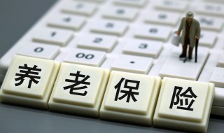 农村养老保险手机怎么在线交 农村养老保险手机上怎么交