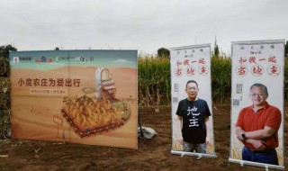 小度怎么玩 小度农庄怎么玩