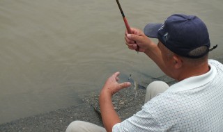 拉小米钓鱼的使用方法 拉小米钓鱼如何使用