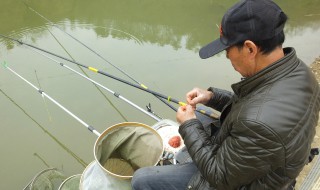 钓白条单钩好还是双钩好 钓小鱼单钩好还是双钩好