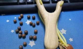 弹弓射鱼瞄点在哪里 你知道吗