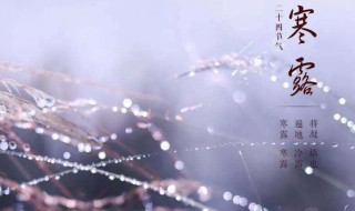 寒露是第几个节气 了解寒露