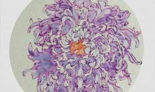 秋庭代表什么生肖 打一个常见动物