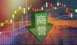 商誉规模是什么意思 有什么作用