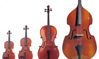 乐器基本知识 你知道哪些知识