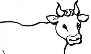 简单的牛和马怎么画 牛和马简笔画