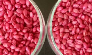 小麦怎样拌种 小麦拌种技术