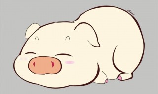 水木清华打一生肖 你知道 吗