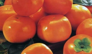 柿子与酒能否同食 原因是什么