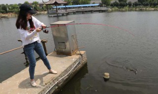 纺车轮路亚抛竿手法 这些细节很重要