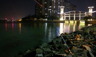 秋季夜钓多长杆合适 注意这几个方面