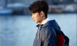 在远方更新多少集 大家可以了解一下