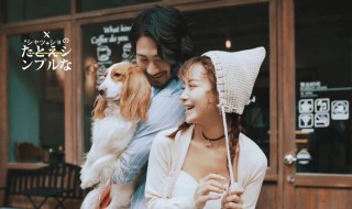 男狗女羊婚配好吗 你们认为好吗