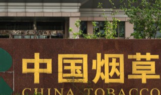 怎么进烟草公司 烟草公司如何进去工作