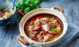 大肠炖豆腐做法 方法你学会了吗