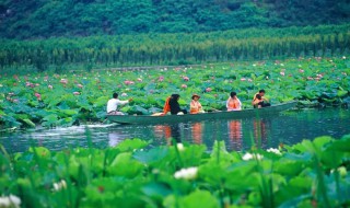 普者黑几月份去最好 景区有哪些
