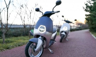 新蕾征途600的具体参数 关于雅迪的简介