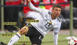 十字韧带断裂什么感觉 你经历过吗