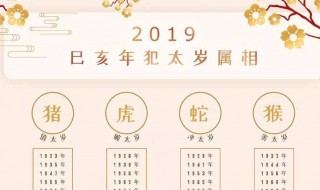 2019运势生肖运势详解 不看后悔哦