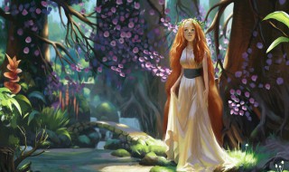 红发技能加点 技能加点攻略