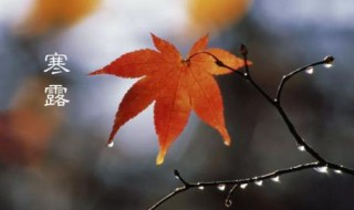 几号几点寒露 具体什么时间