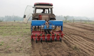 小麦播种机平土器哪种好用?有许多种